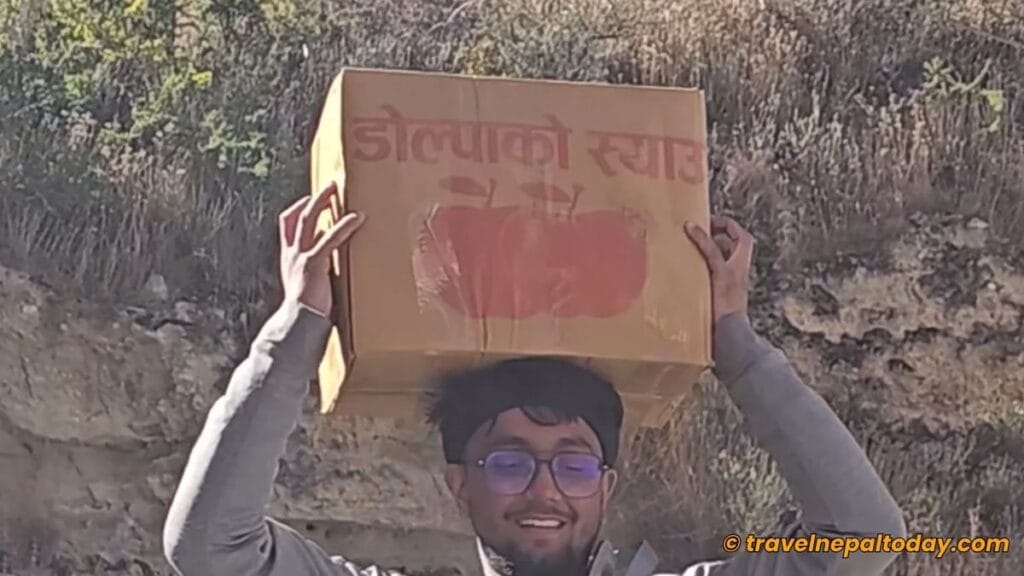 cartoon of apples from dolpa