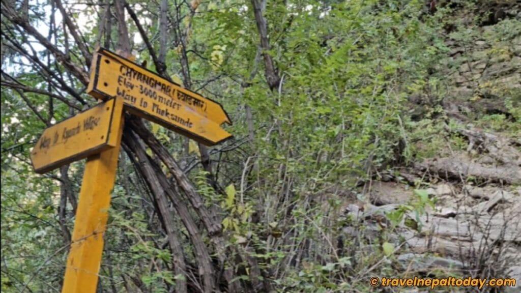 way to phoksundo board ahead of renchi