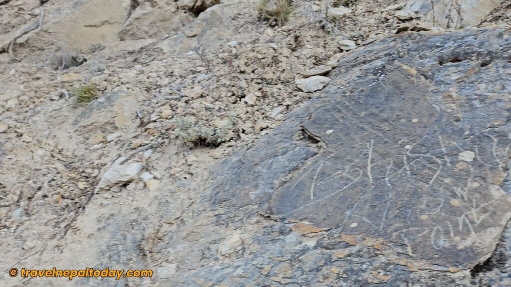 bhishu viewpoint phoksundo