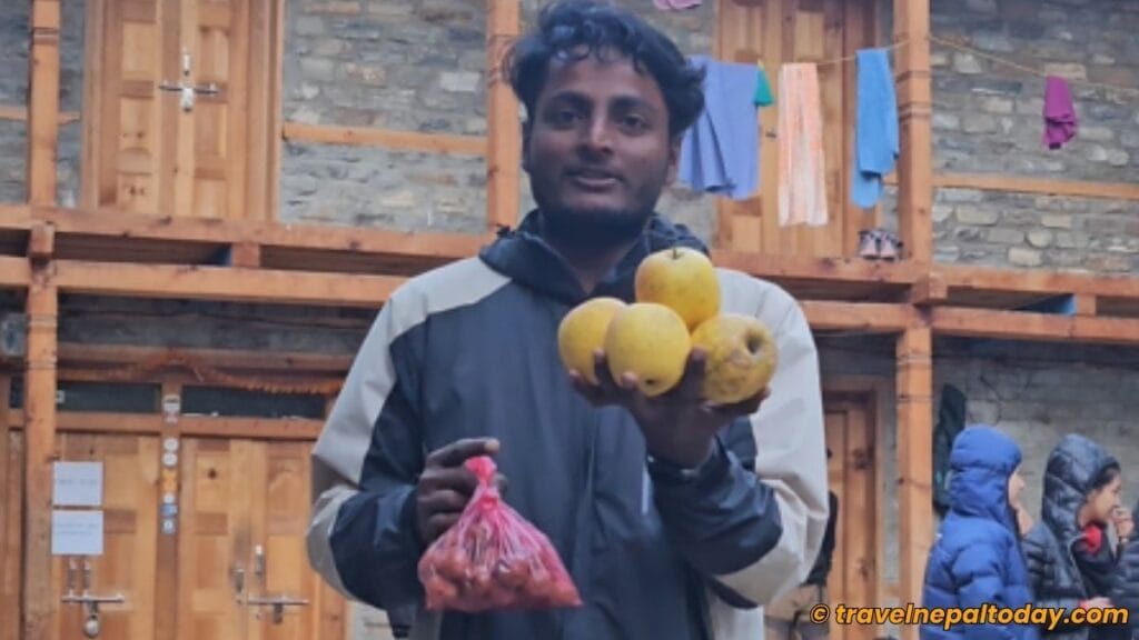 dolpali apples and walnuts