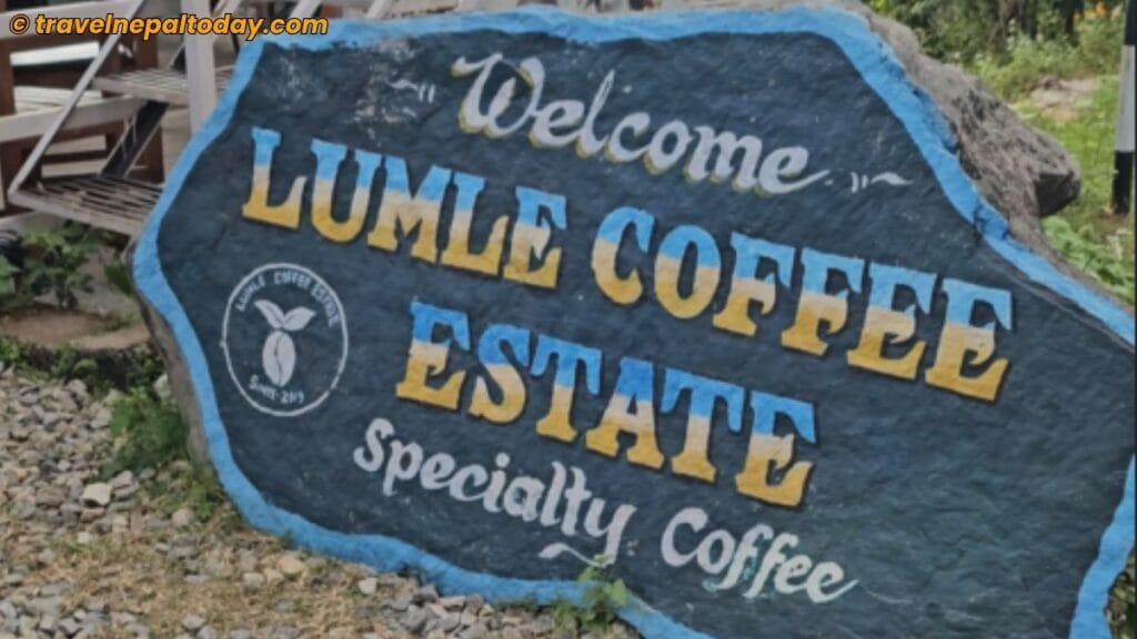 lumle coffee estate
