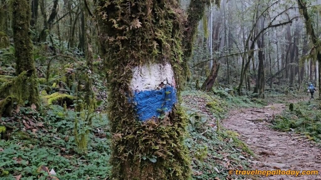 marking in mardi trail