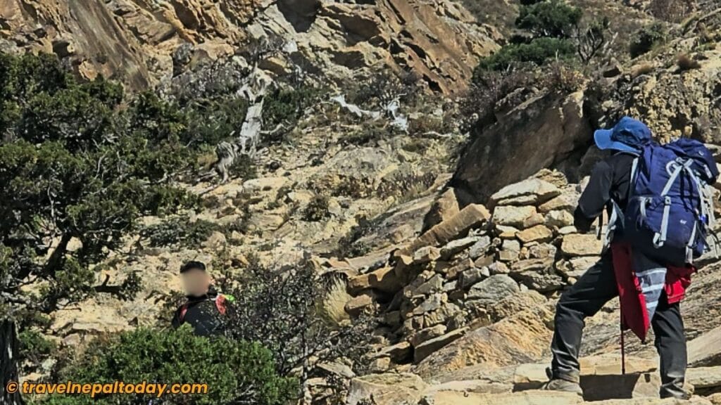 uphill climb to phoksundo lake