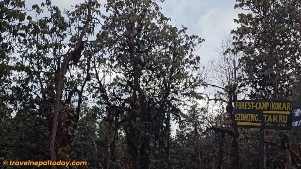 way to sidhing from low camp