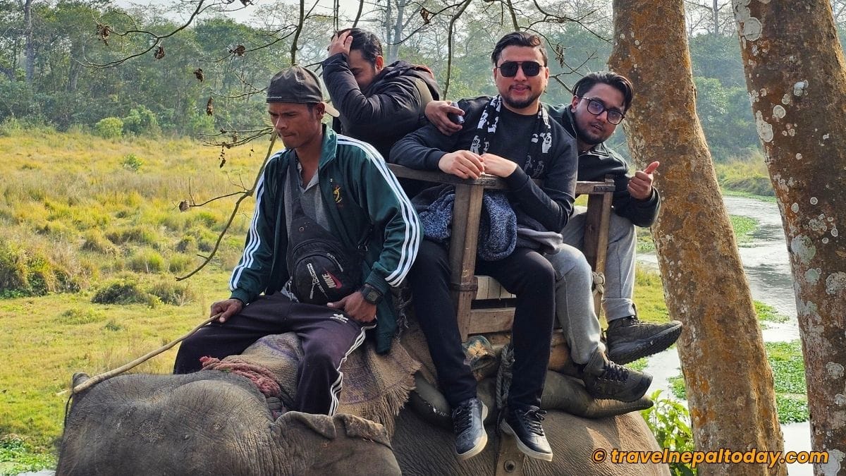 chitwan elephant safari
