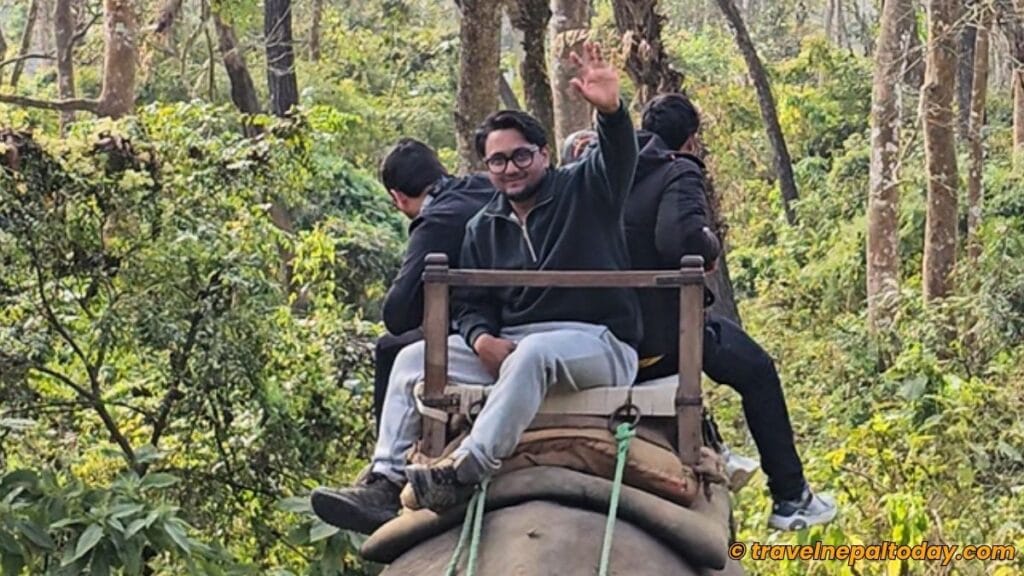 elephant ride in chitwan