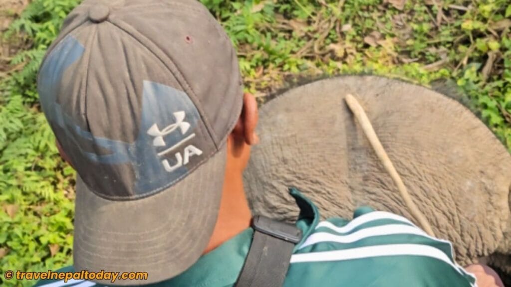 mahout using elephant stick