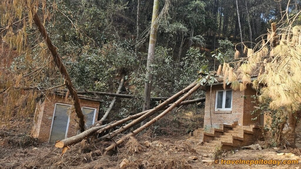 abandoned pia park office