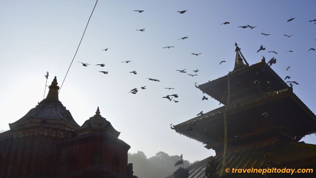 chandeshwori temple banepa