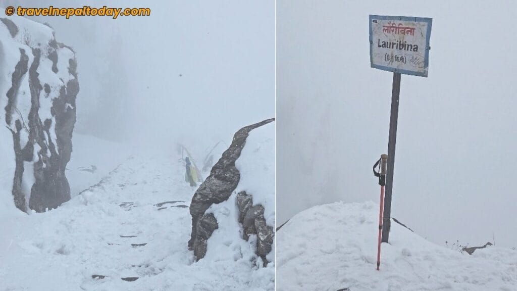 lauribina in panch pokhari