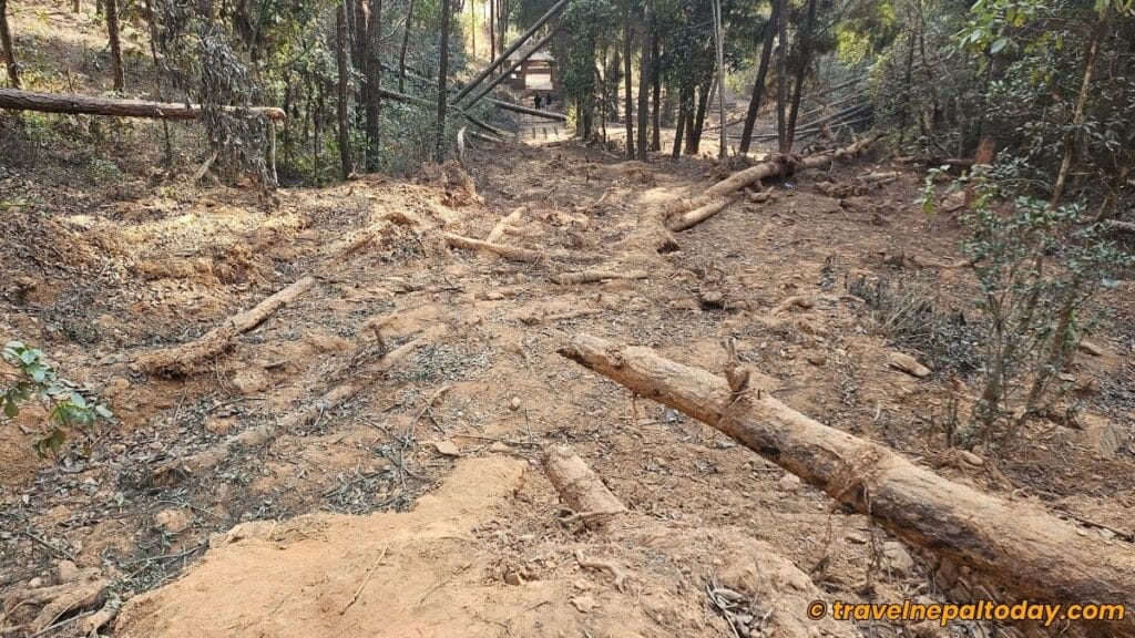 logs all around the pia park