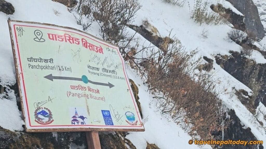 pangsing bisaune in panch pokhari