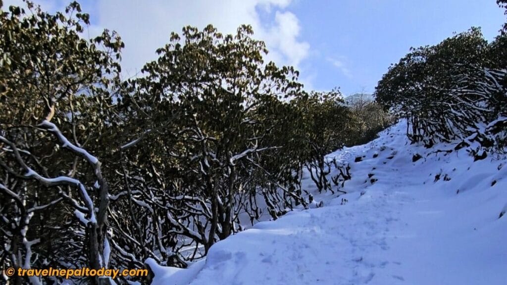 way to noshyam pati trail
