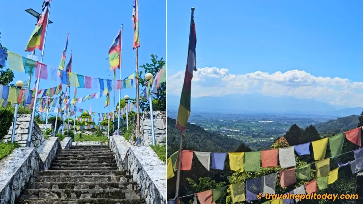 buddha peace park stairs