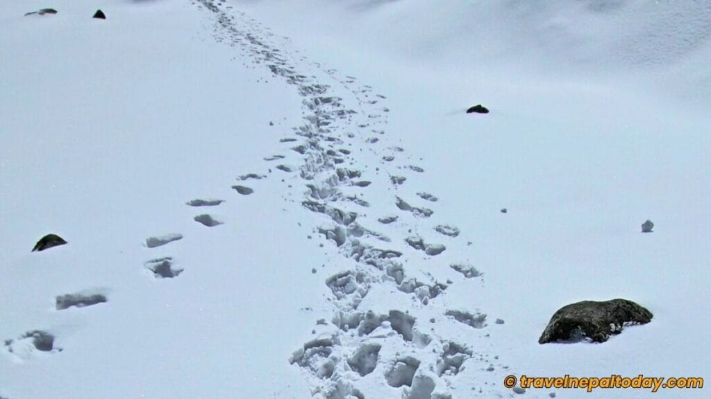 panch pokhari return trail