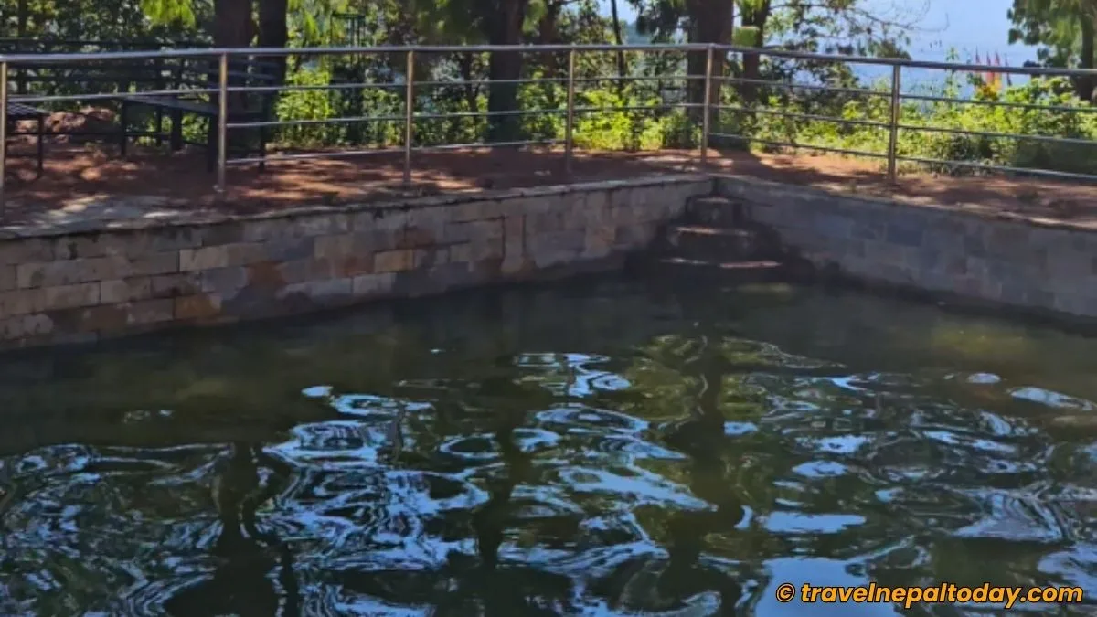 pond in buddha peace park