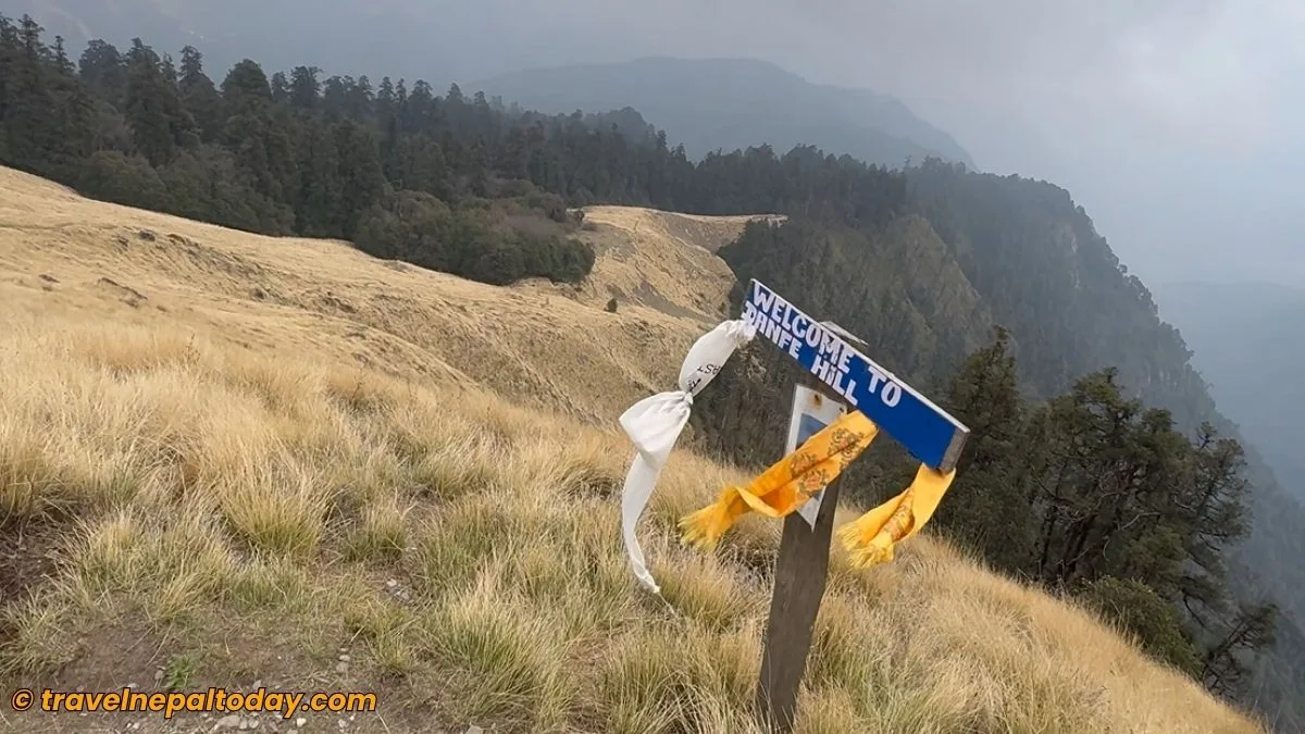 danfe hill in kokhe danda trek