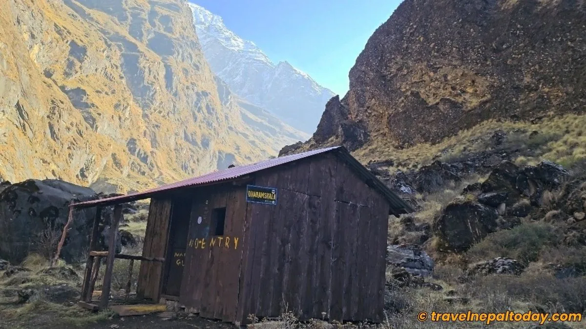 dharmashala in north abc trek