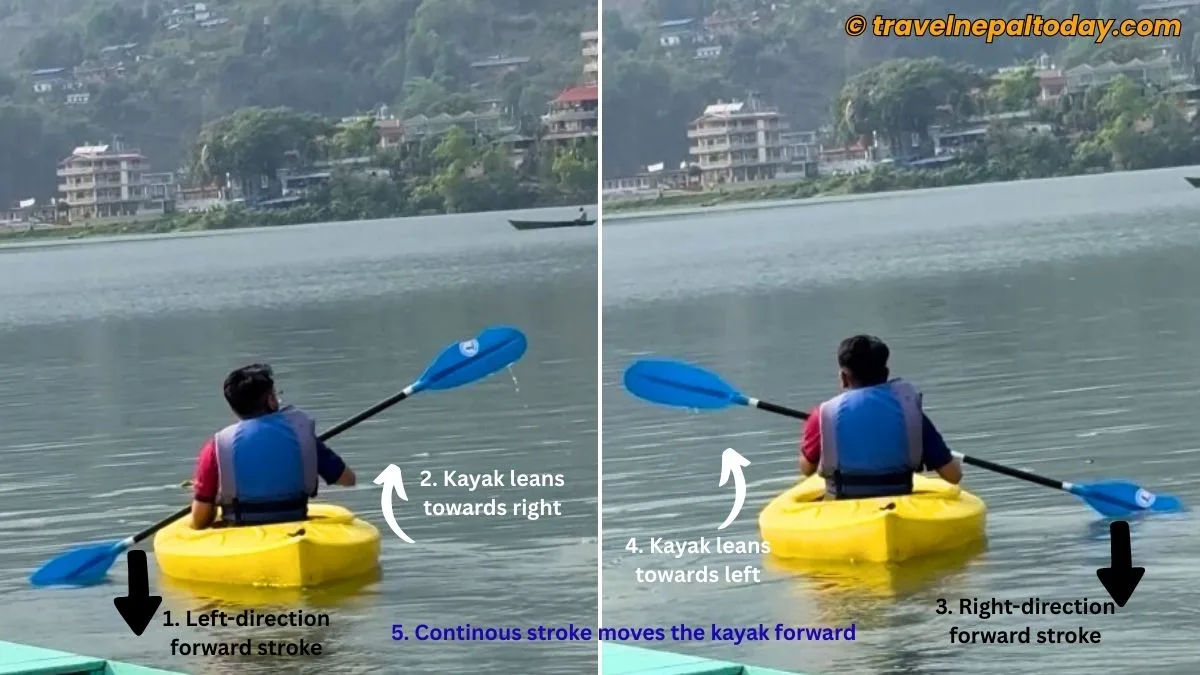 forward stroke in kayaking