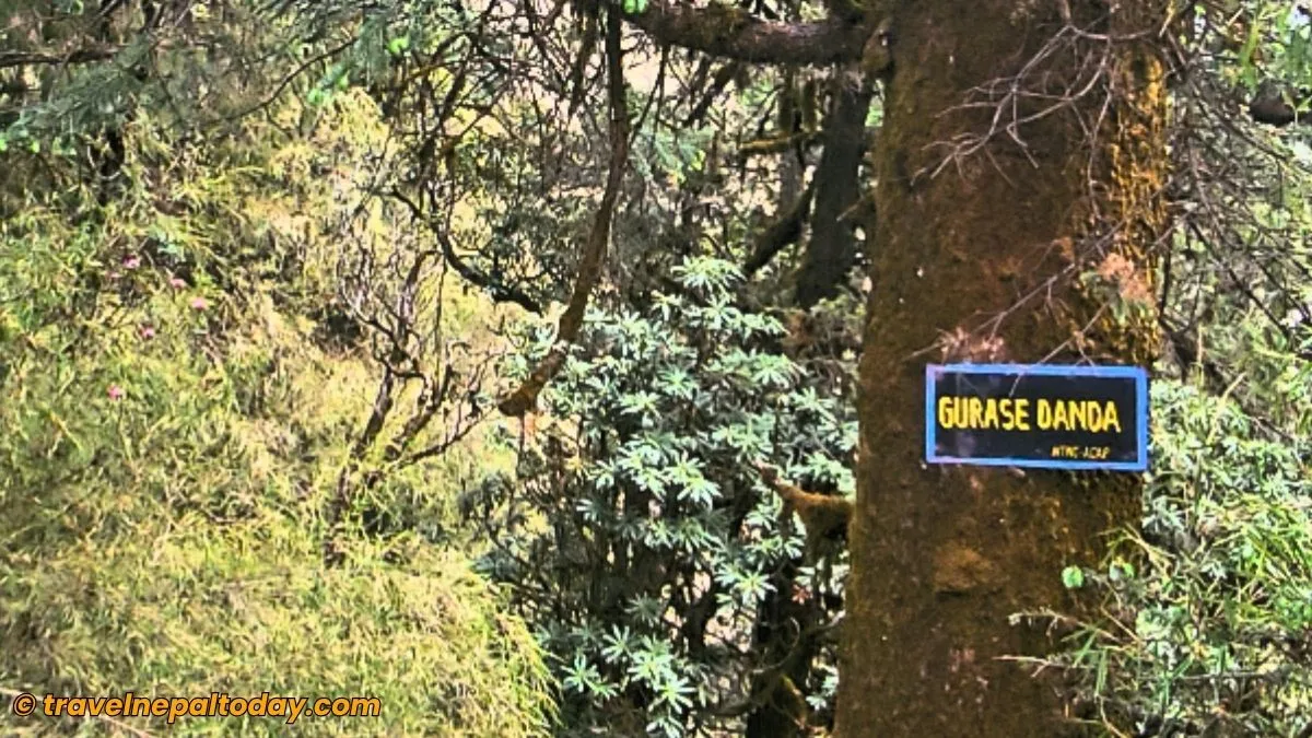 gurase danda board sign