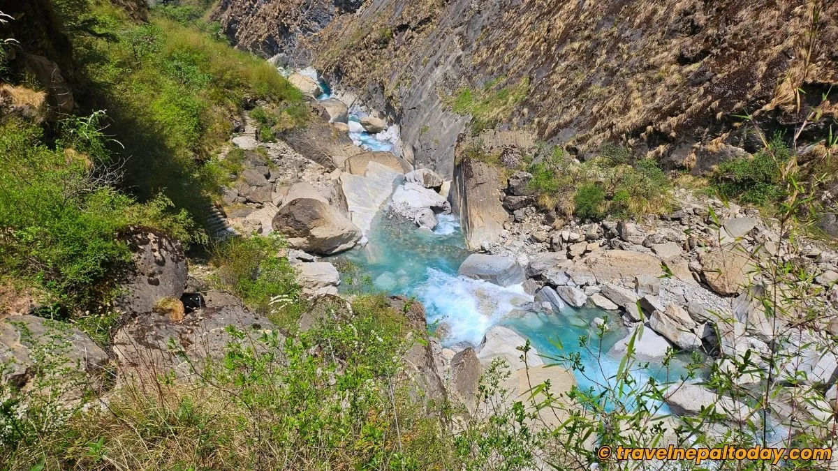 nilgiri river in north abc trek