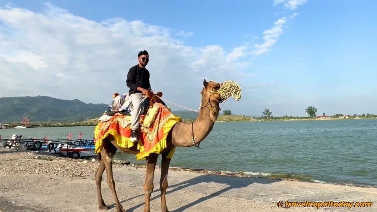 camel ride in bharat taal