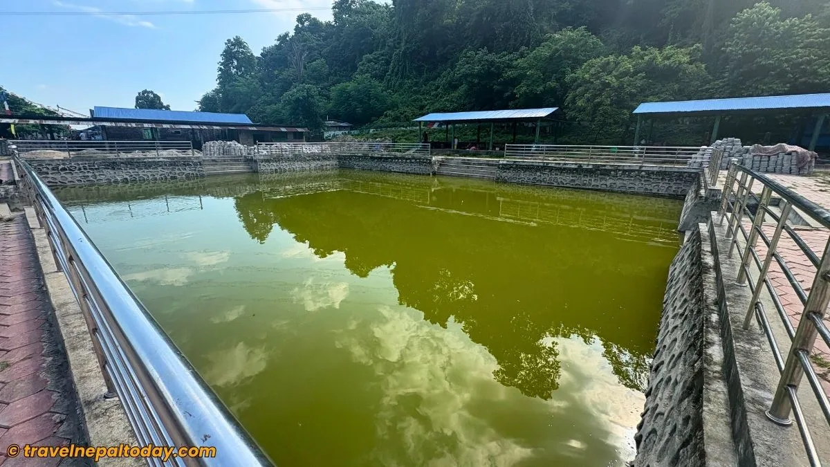 fish pond in nunthar