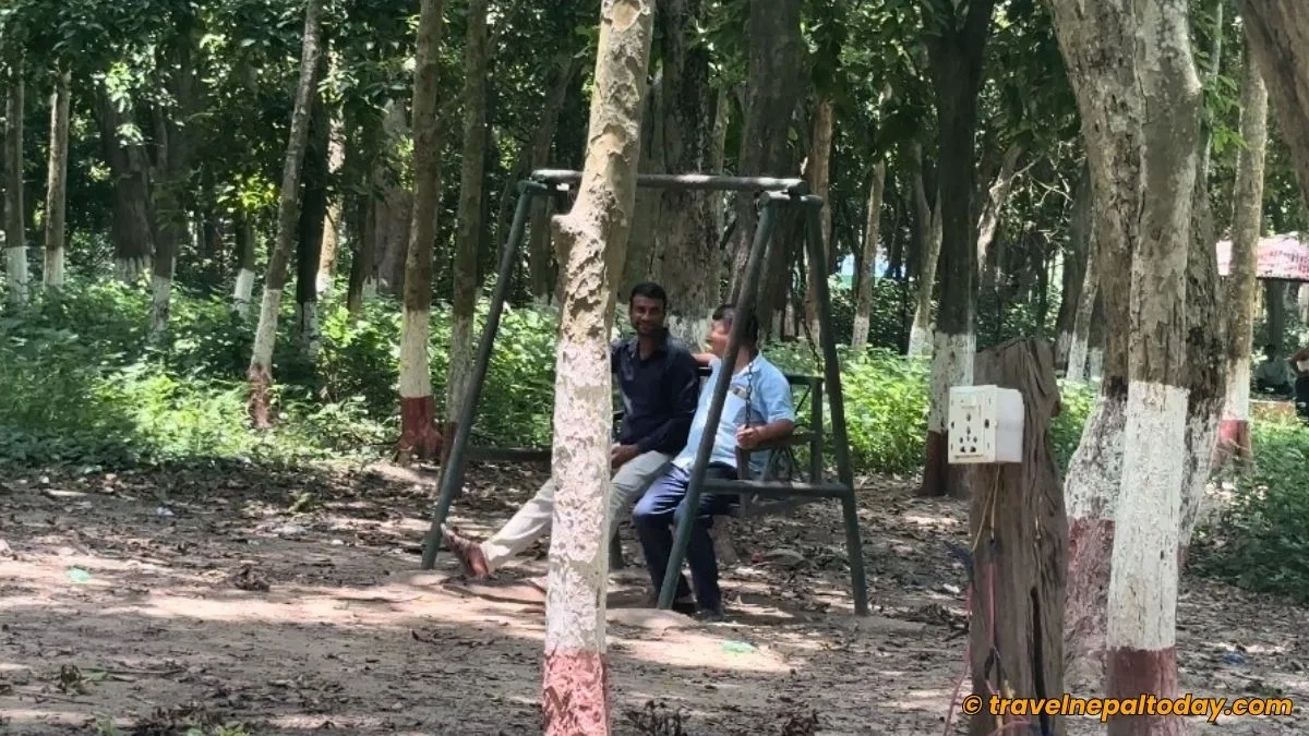 swing benches in simara park