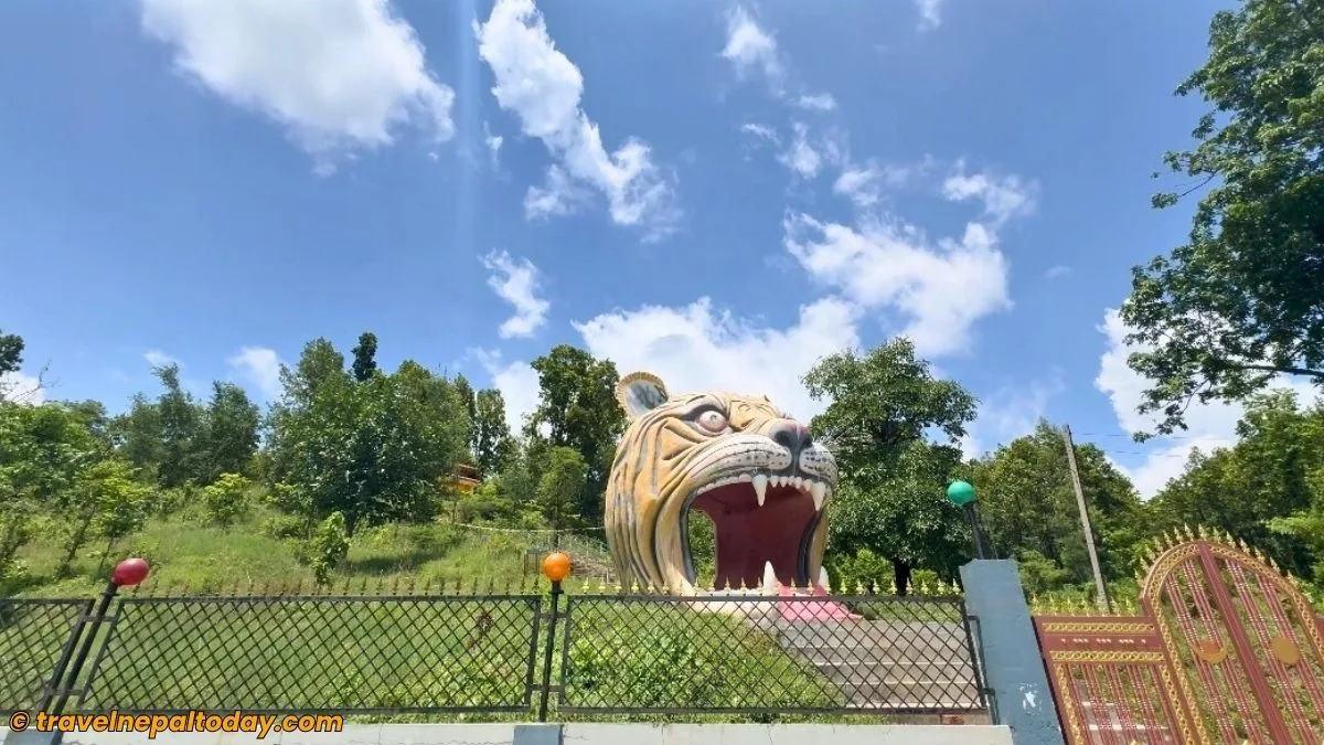 tiger face entry gate in nijgadh