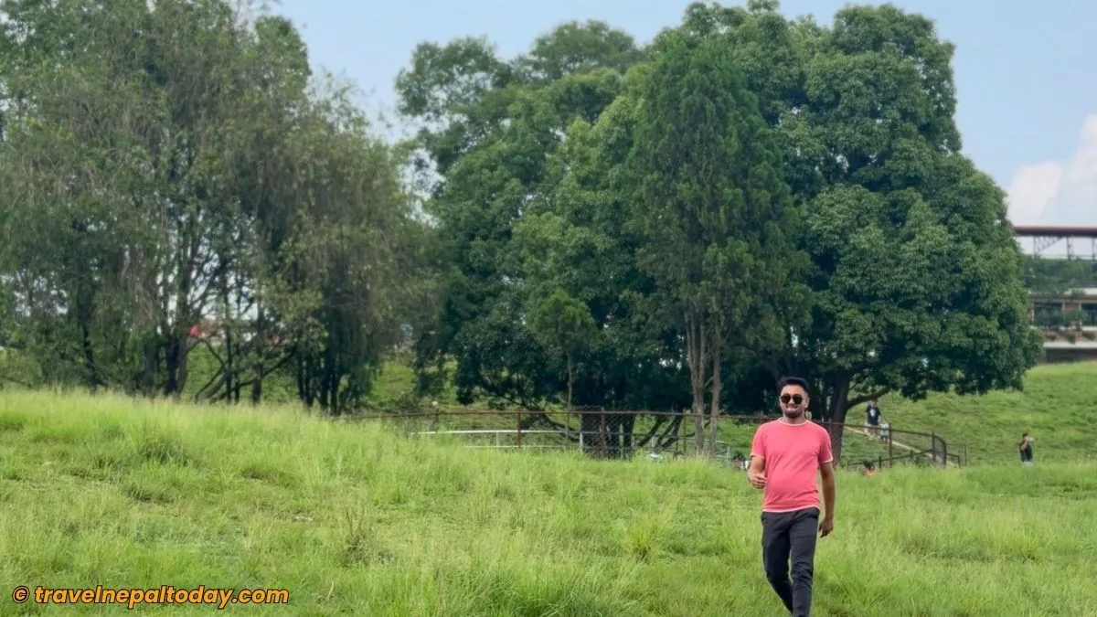 trees in sikali ground