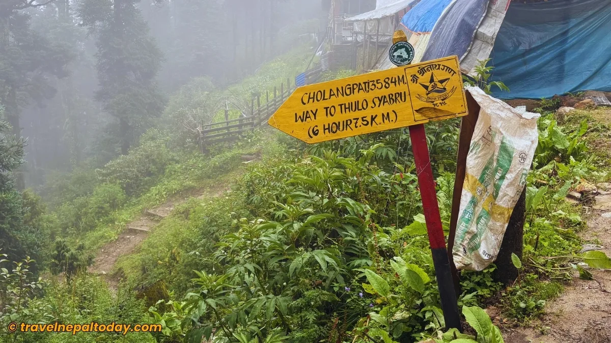 cholangpati to thulo syabru diversion