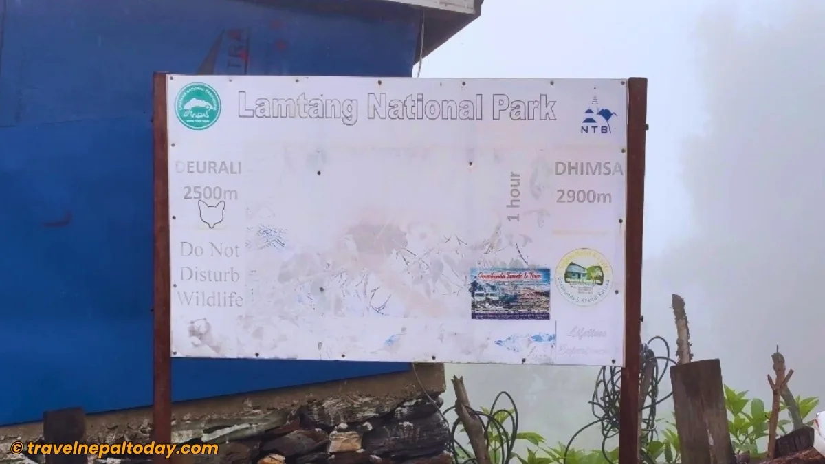 deurali and dhimsa board gosaikunda