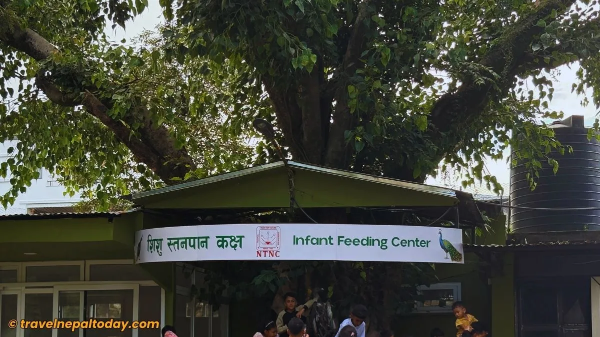 infant breeding center in central zoo nepal