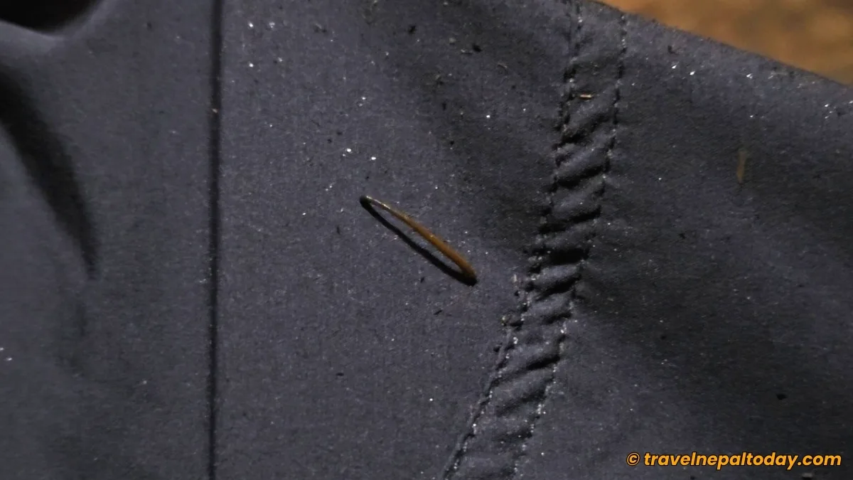 leech in gosaikunda monsoon trek