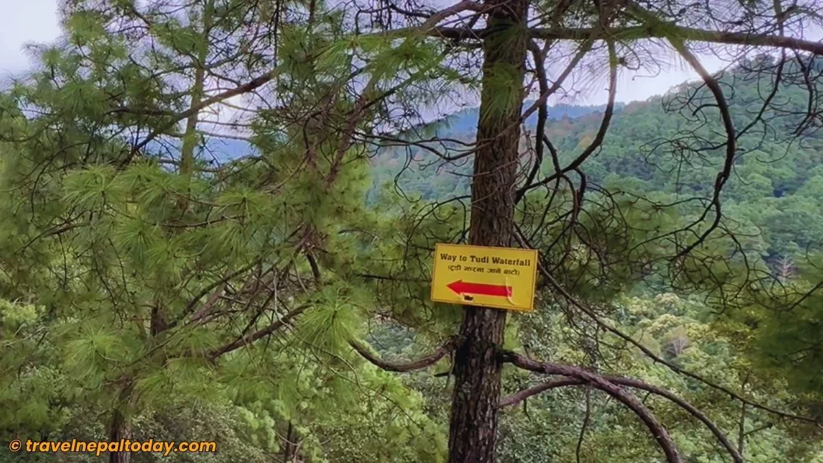 way to tudi waterfall board