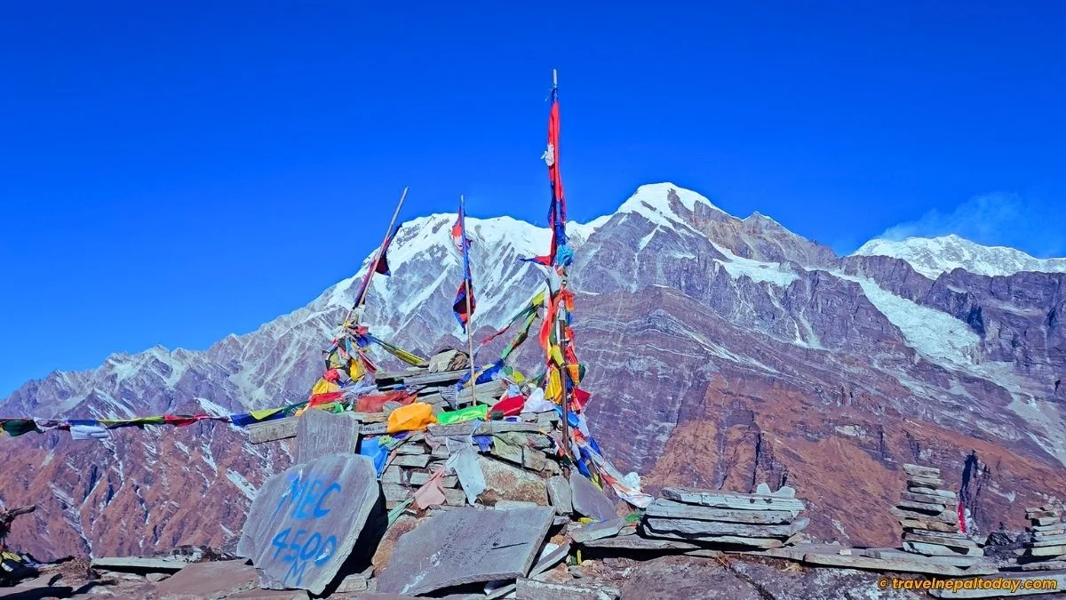 mardi himal base camp