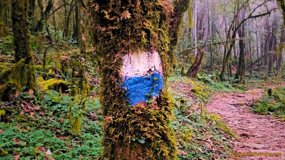 navigation marks in mardi himal trail