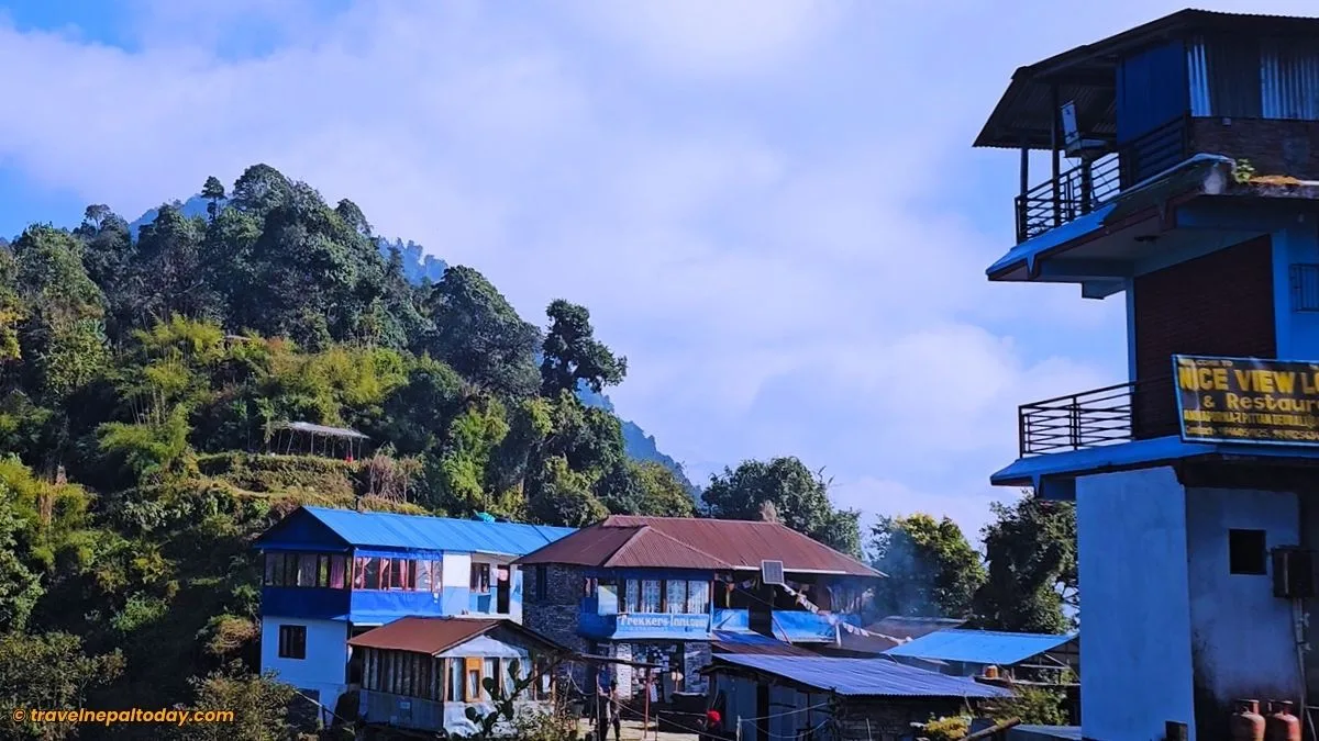 pittam deurali in mardi himal trek