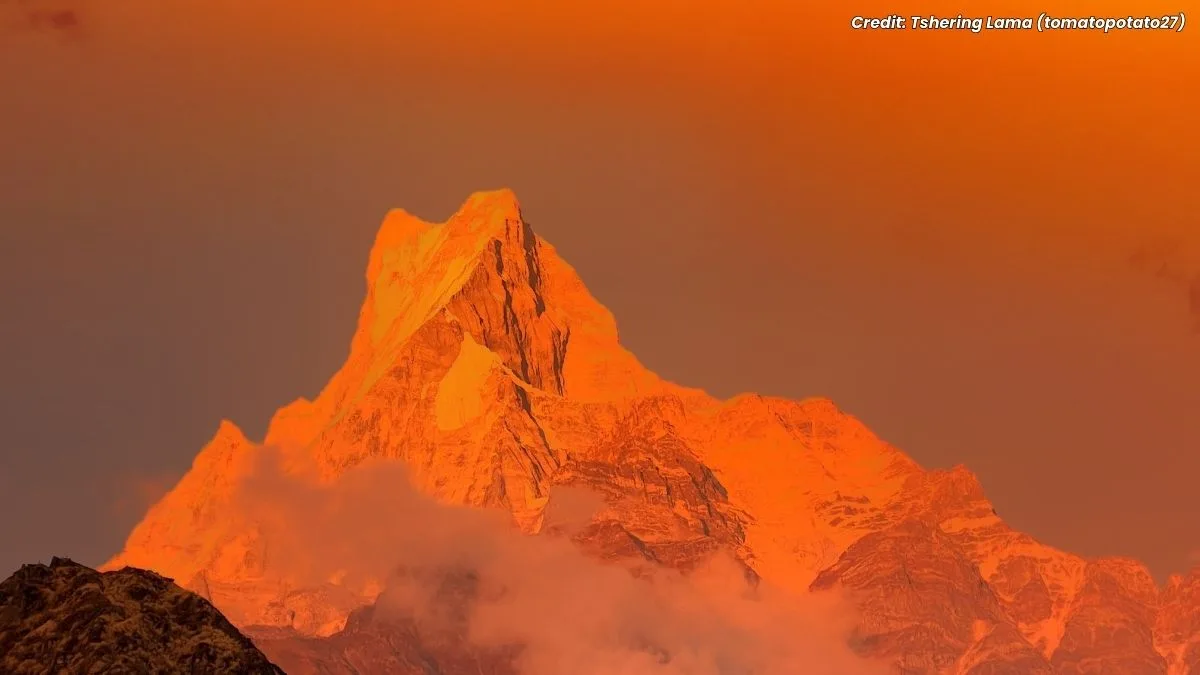 mardi himal trek in march