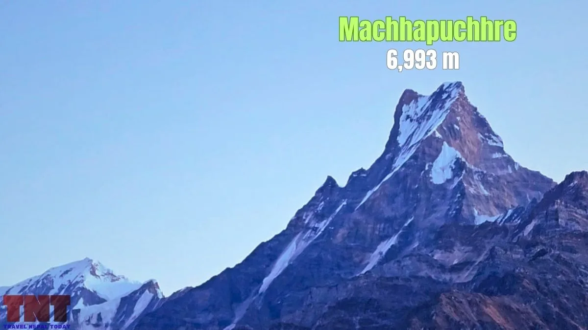 machhapuchhre fishtail height 6993m