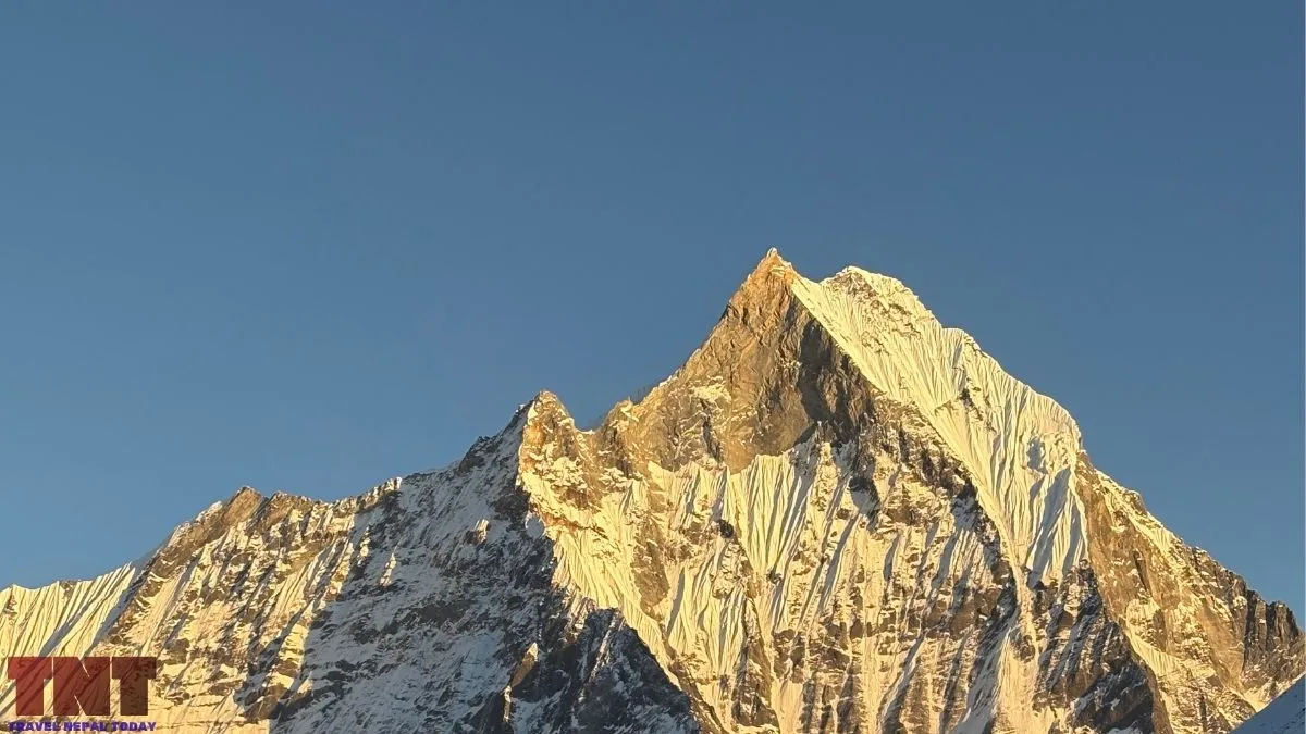 machhapuchre north face from annapurna base camp