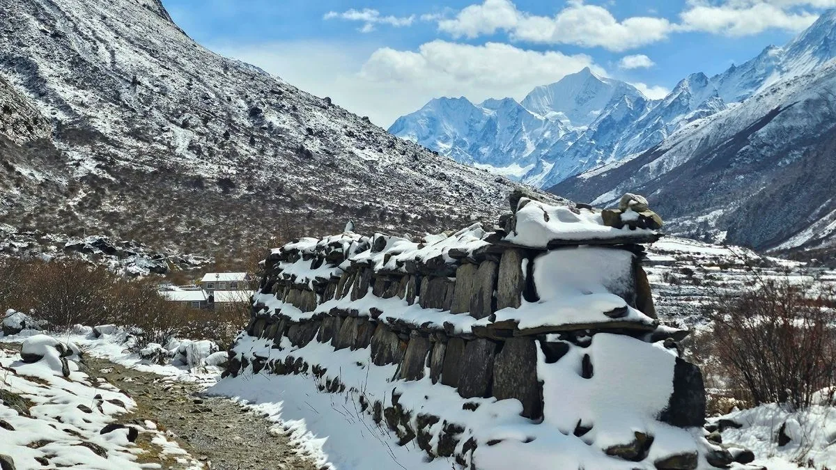 north or northwest face of ganchenpo from langtang valley